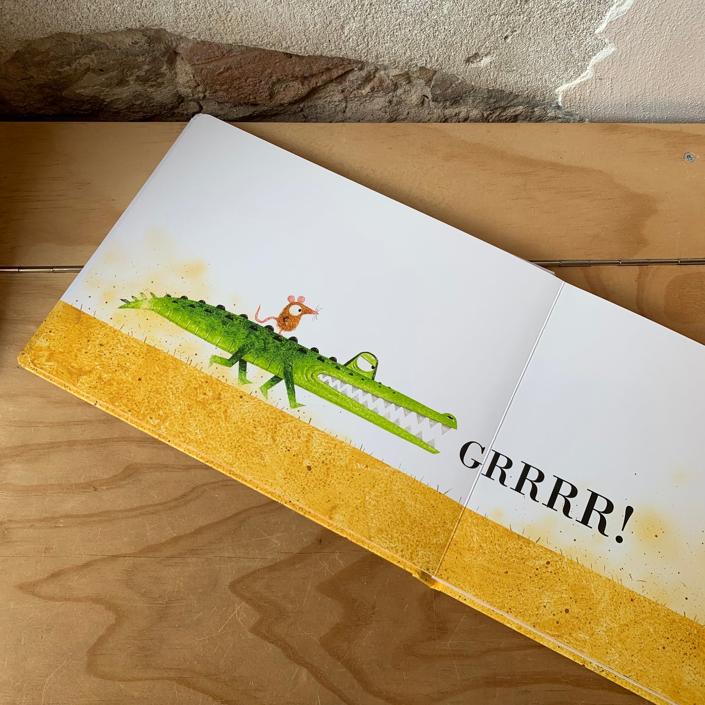 Kind Crocodile – Leo Timmers