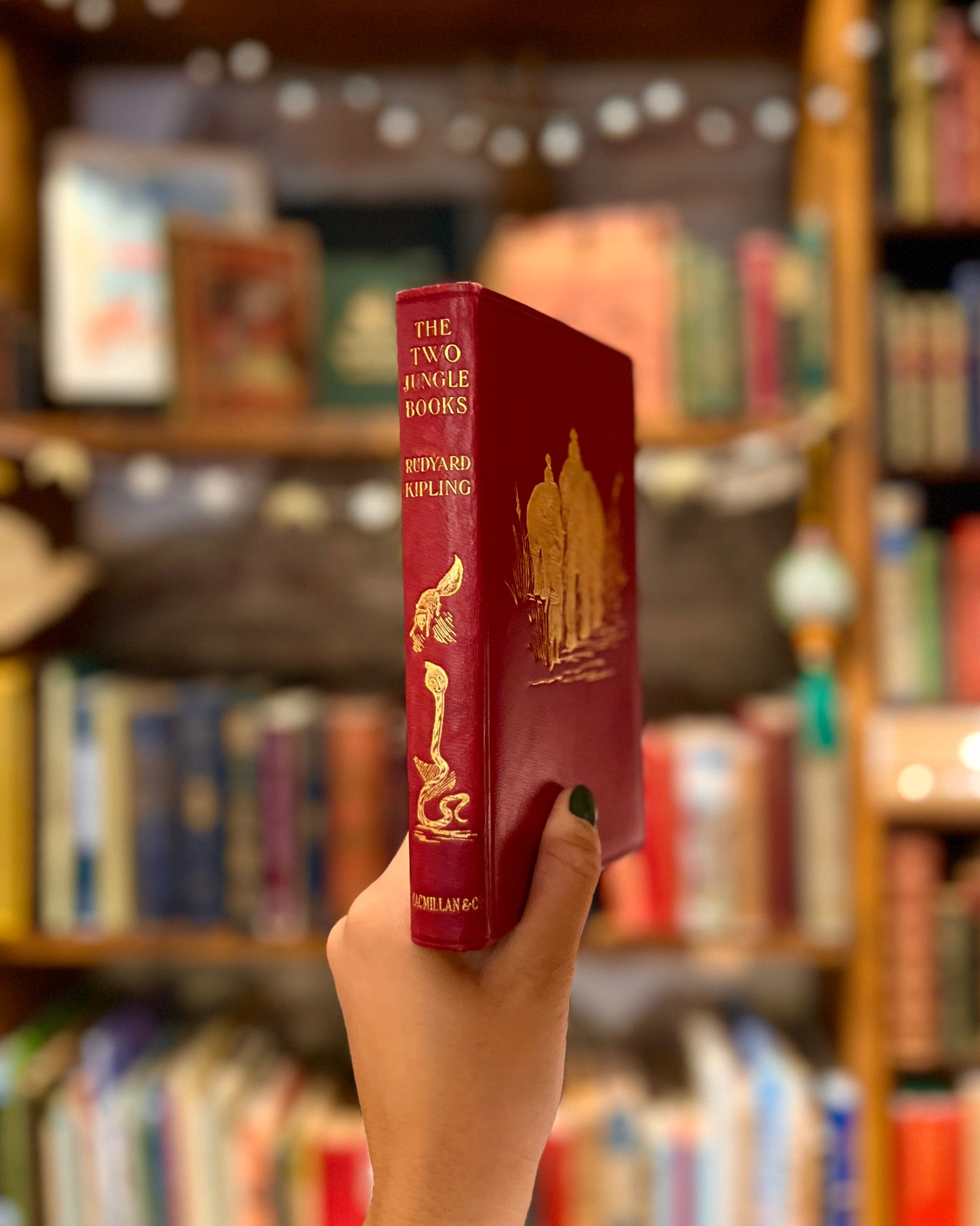 The Two Jungle Books (1926) – Rudyard Kipling, J. Lockwood Kipling and W. H. Drake