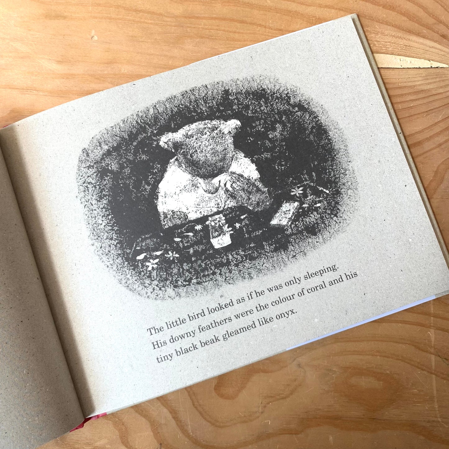 The Bear and the Wildcat – Kazumi Yumoto, Komako Sakai
