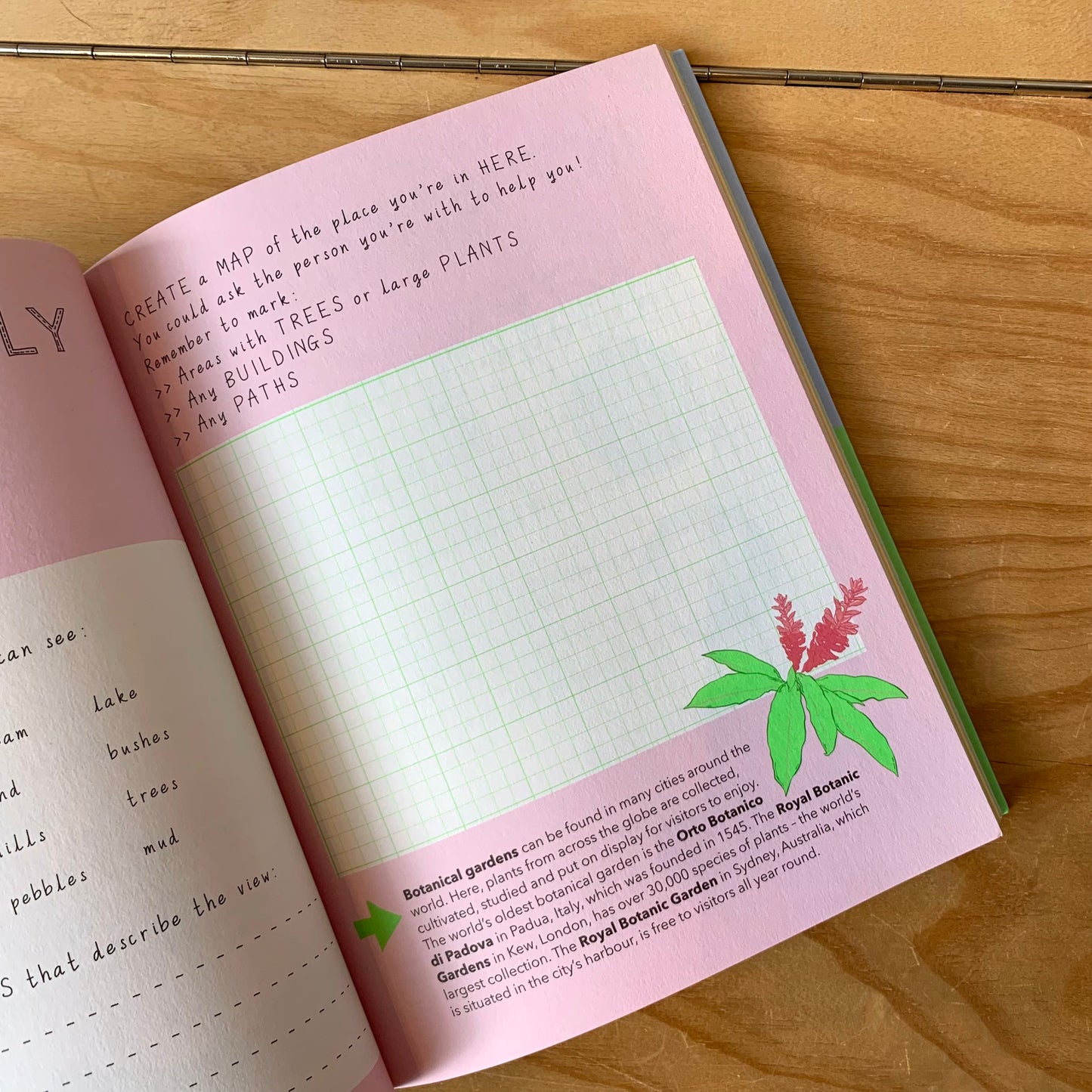Take Me Outdoors. A Nature Journal for Young Explorers – Mary Richards