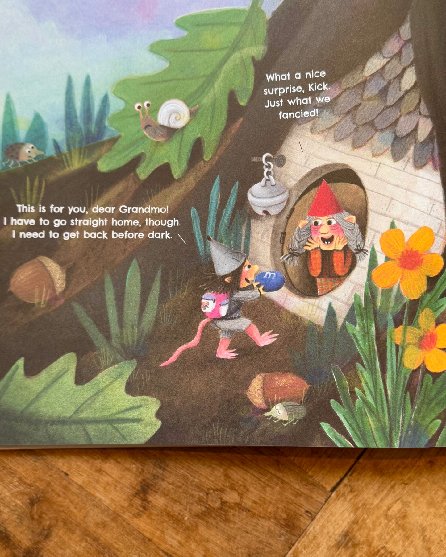 The Gnome Book – Loes Riphagen
