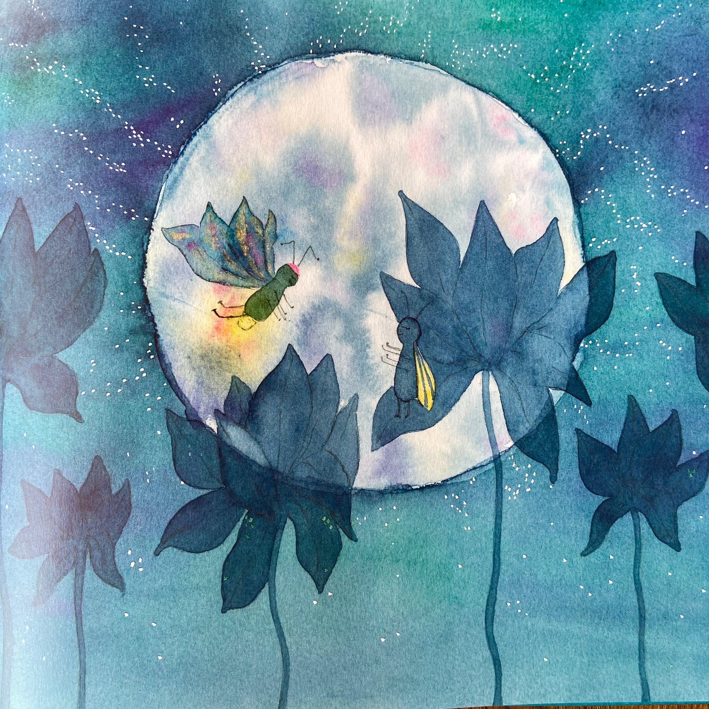 Firefly – Camila Perez