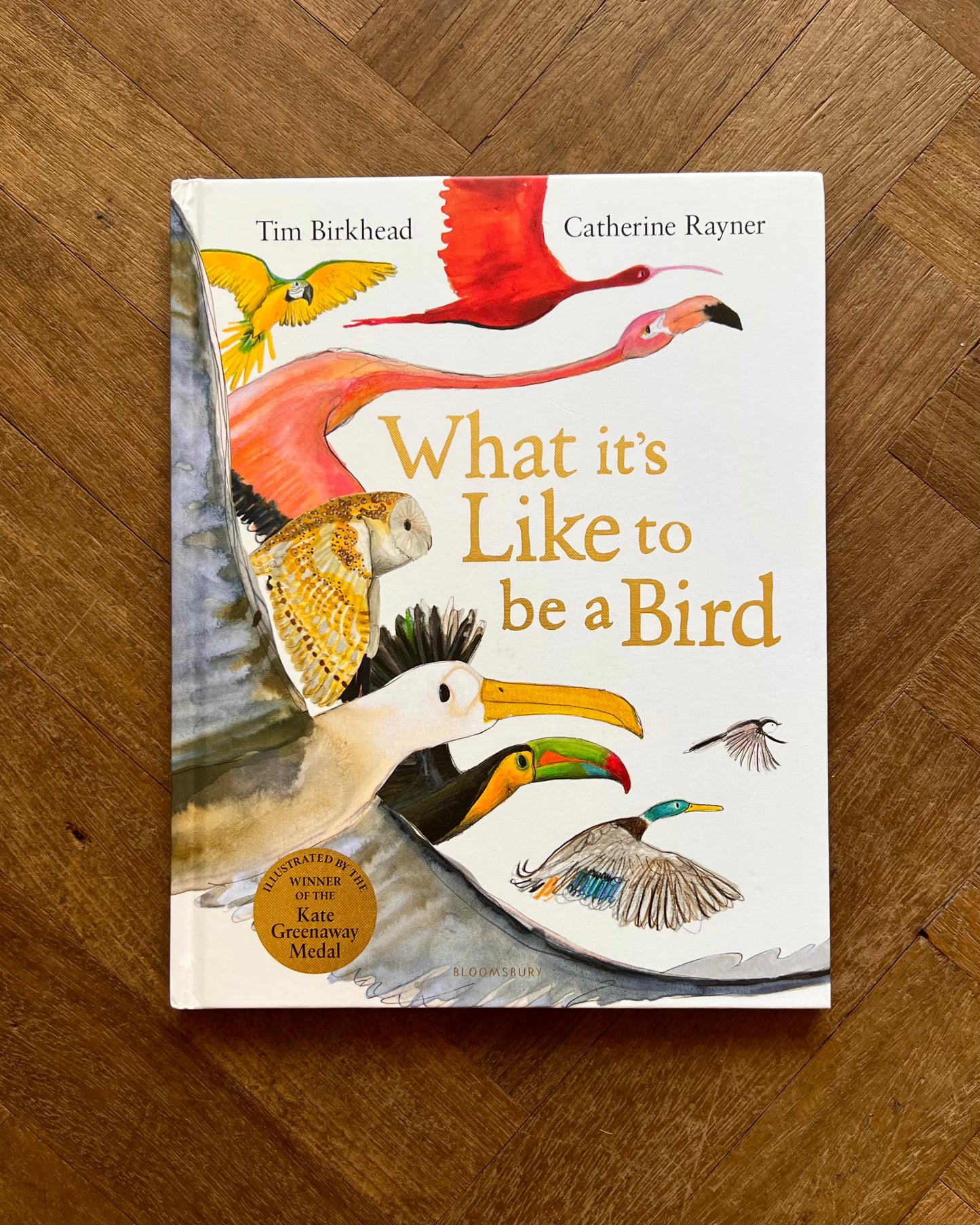 What It's Like to Be a Bird – Tim Birkhead, Catherine Rayner