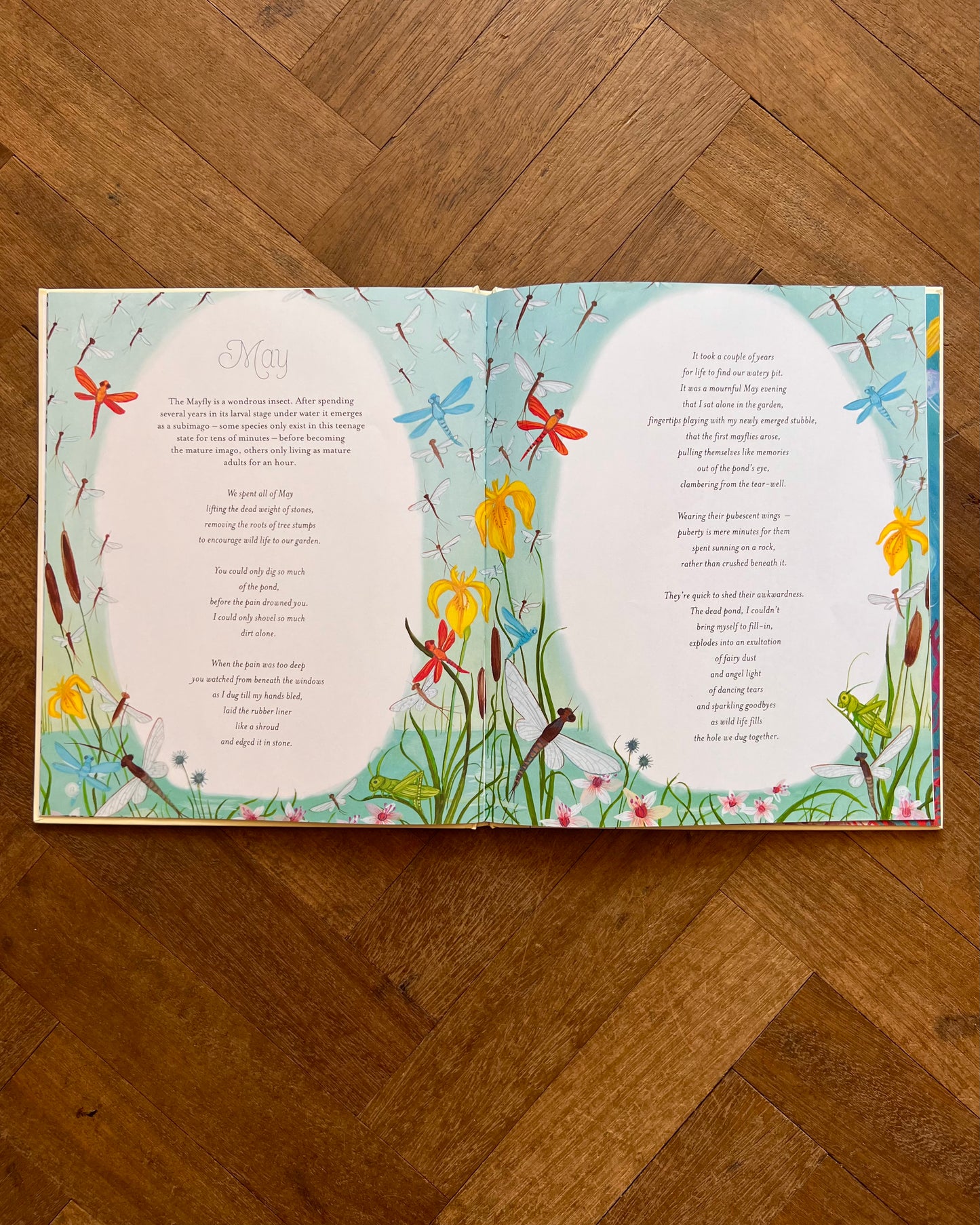 A Year Of Nature Poems - Joseph Coelho, Kelly Louise Judd