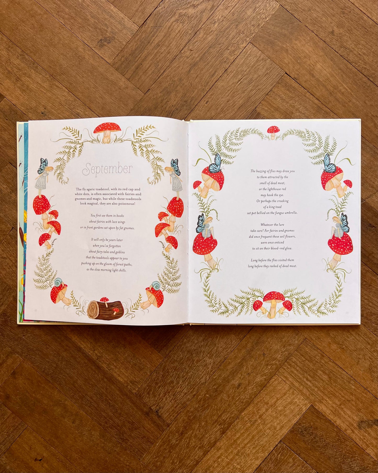 A Year Of Nature Poems - Joseph Coelho, Kelly Louise Judd
