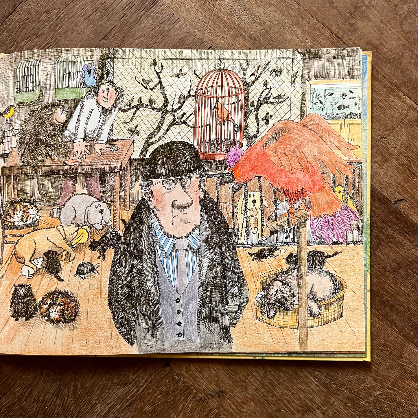 The Dragon of an Ordinary Family (1991) - Margaret Mahy, Helen Oxenbury