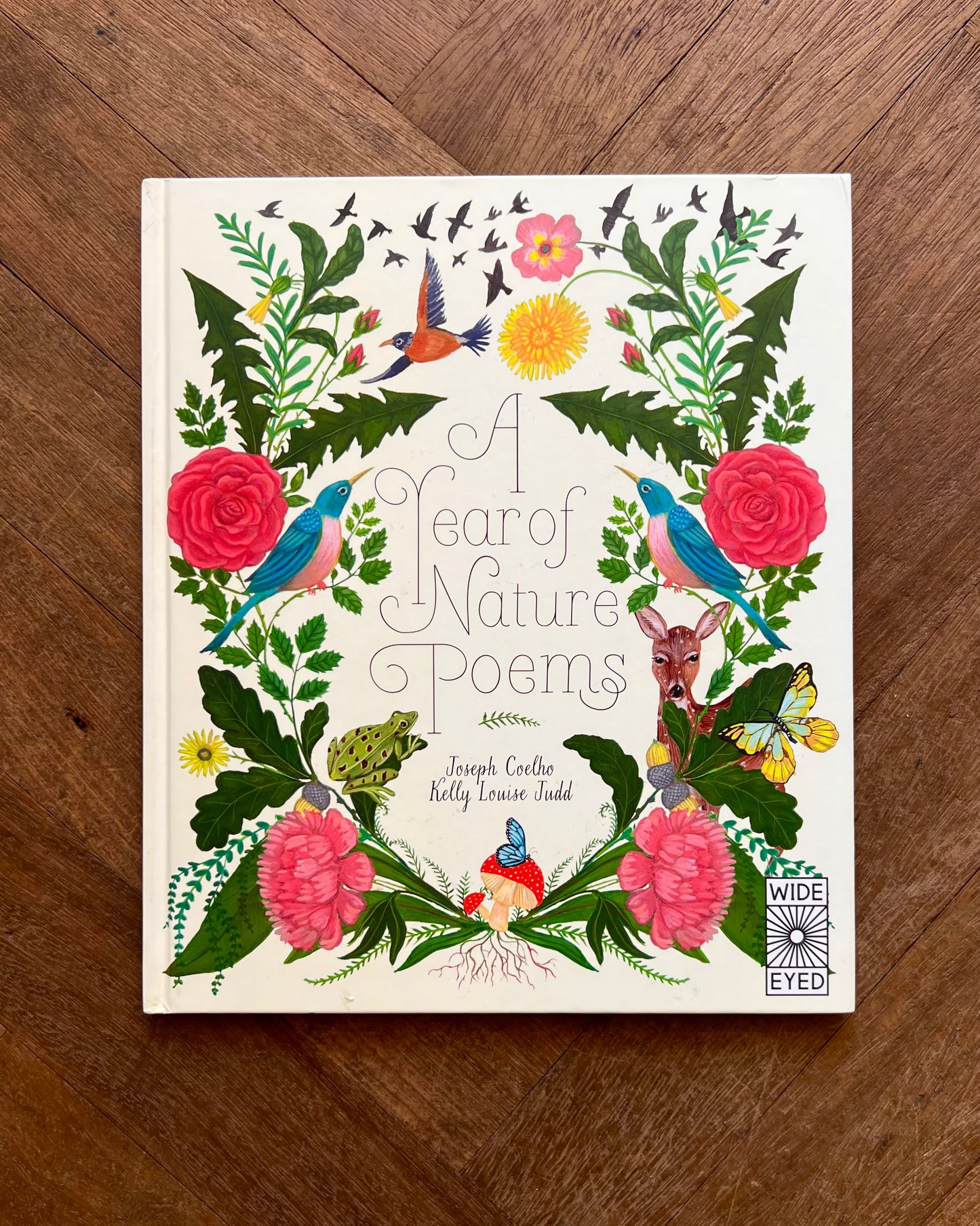 A Year Of Nature Poems - Joseph Coelho, Kelly Louise Judd