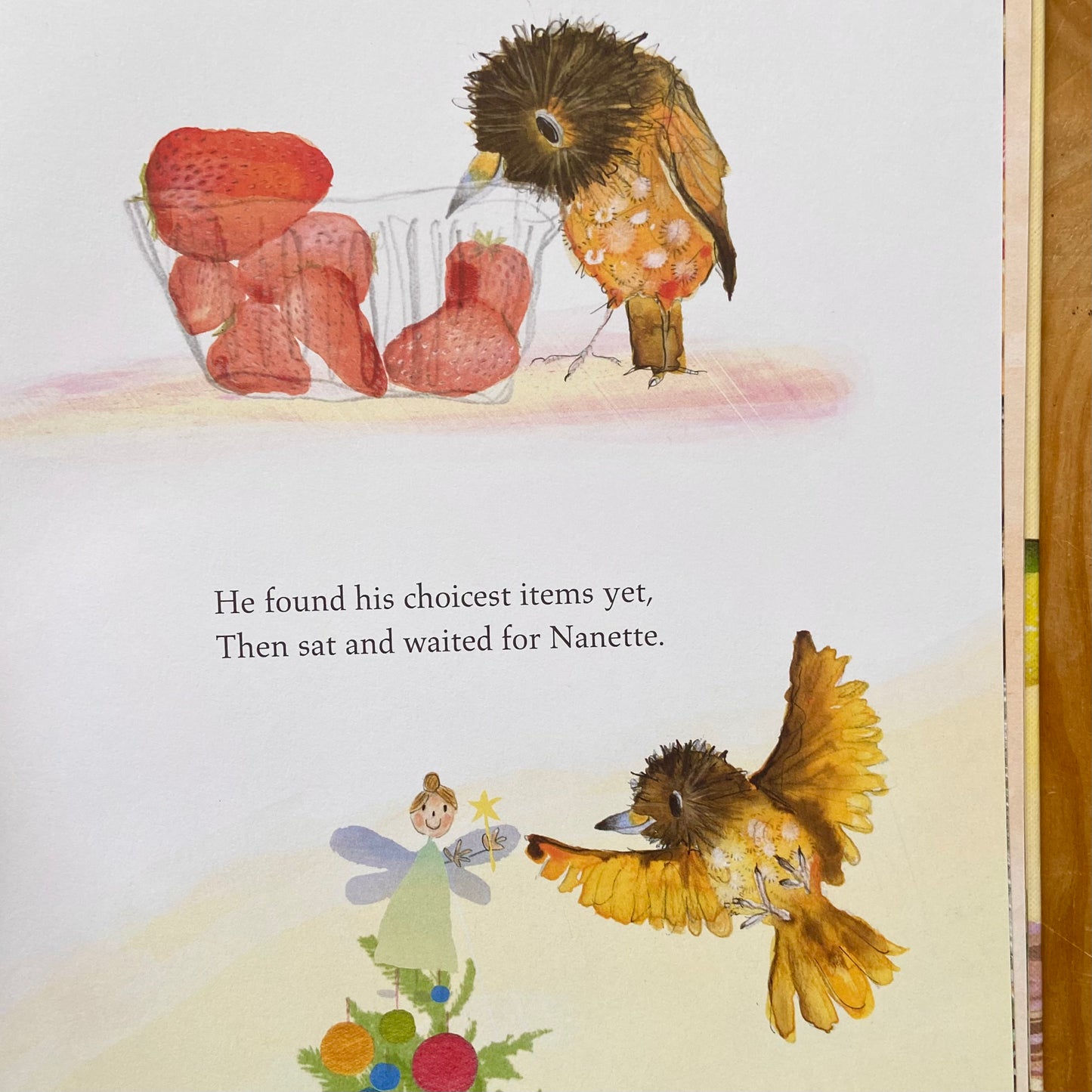 The Bowerbird – Julia Donaldson and Catherine Rayner