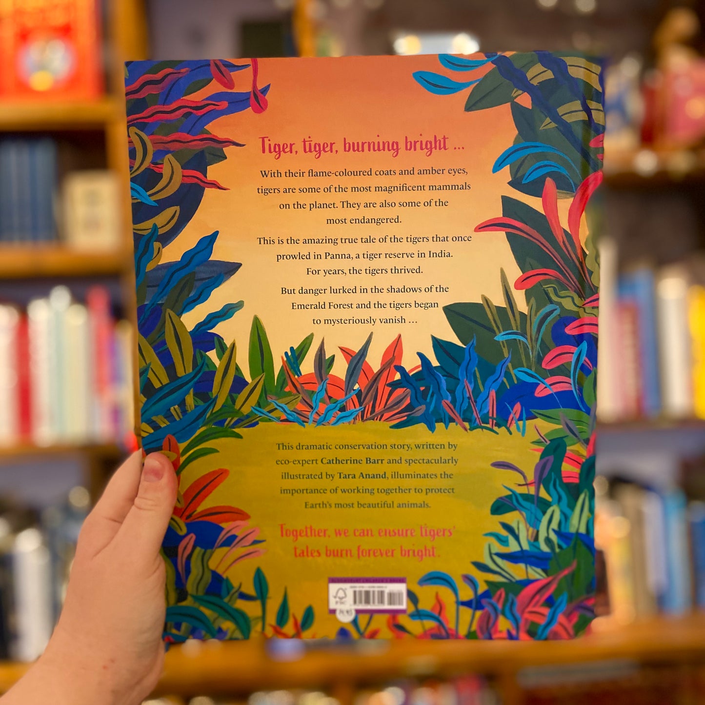 The Tiger's Tale: A Conservation Story – Catherine Barr and Tara Anand