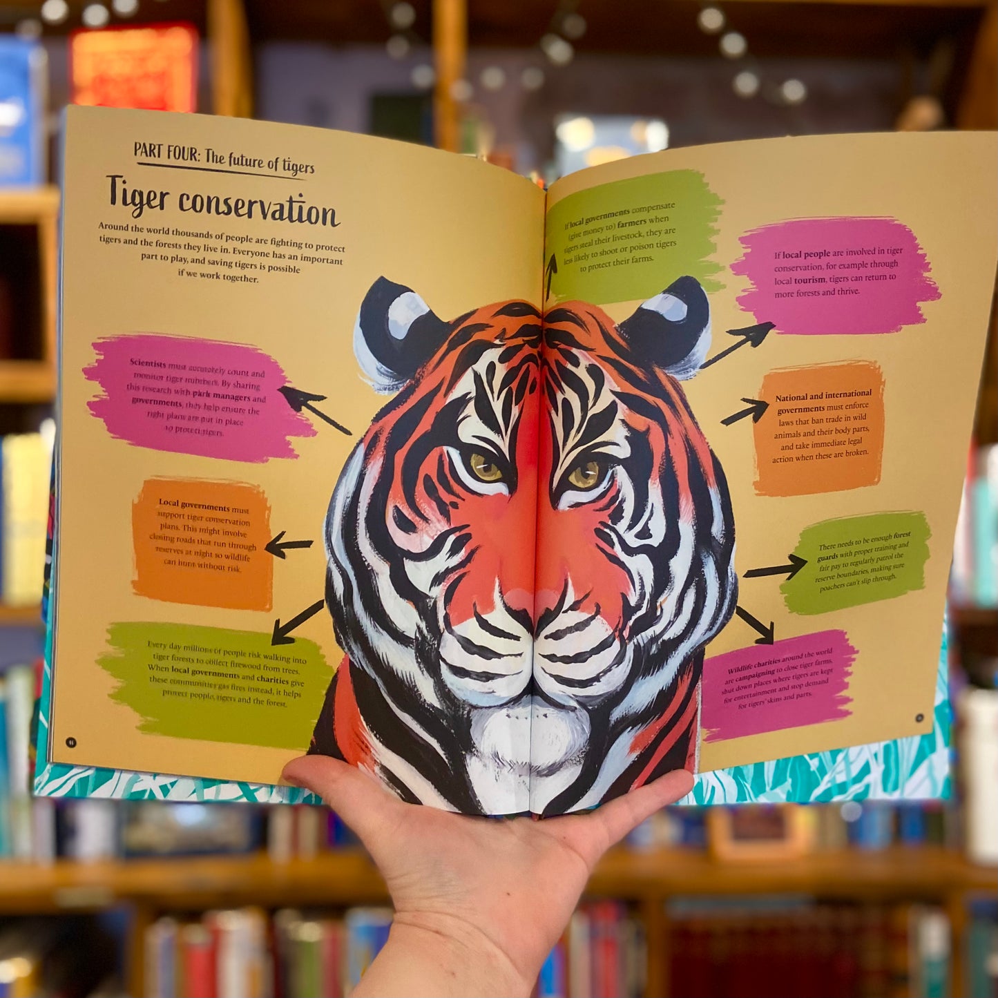 The Tiger's Tale: A Conservation Story – Catherine Barr and Tara Anand