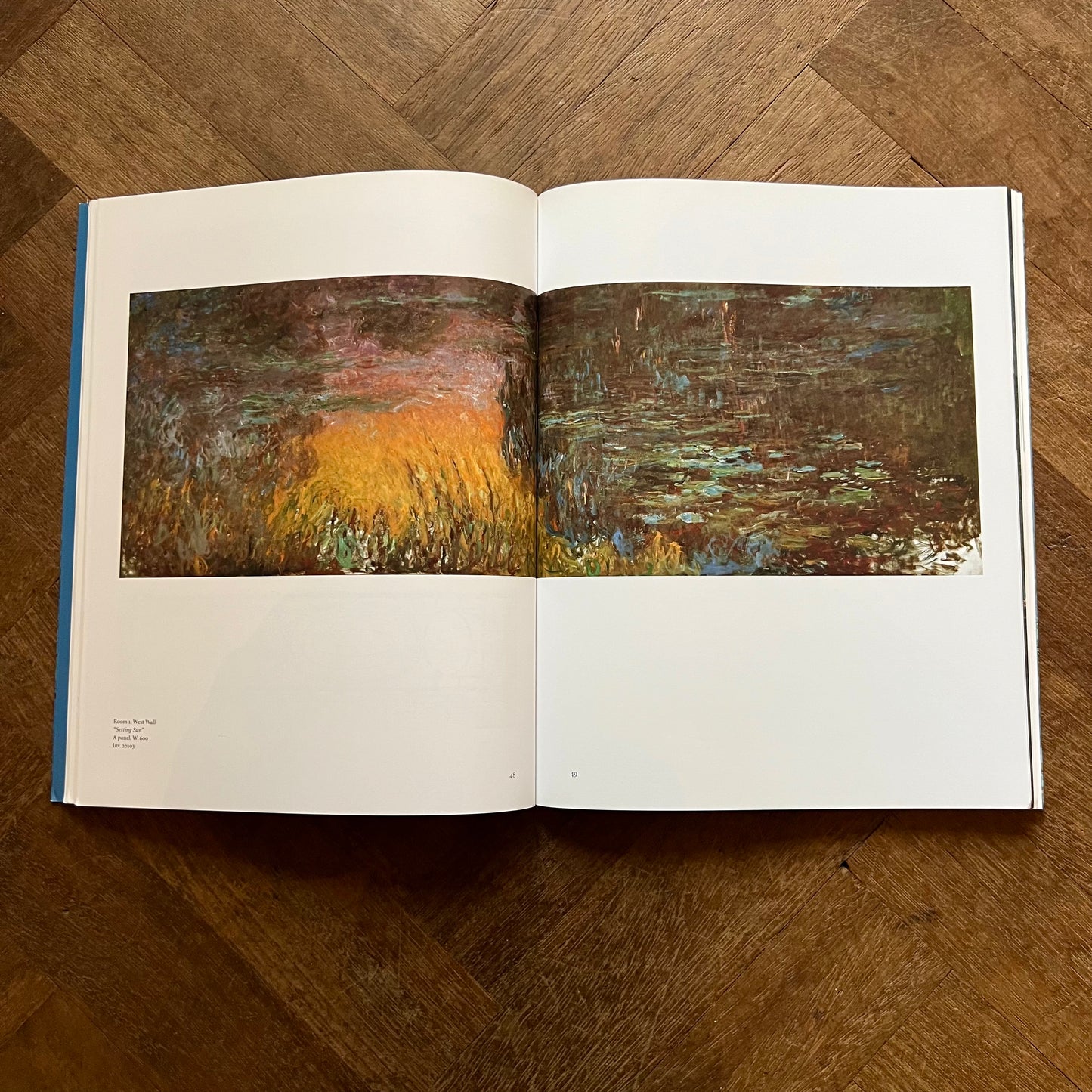 The Nympheás of Claude Monet – Michel Hoog