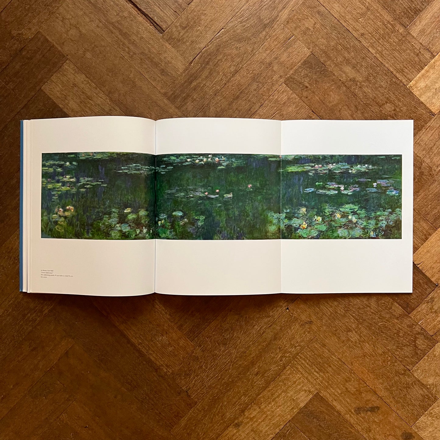 The Nympheás of Claude Monet – Michel Hoog