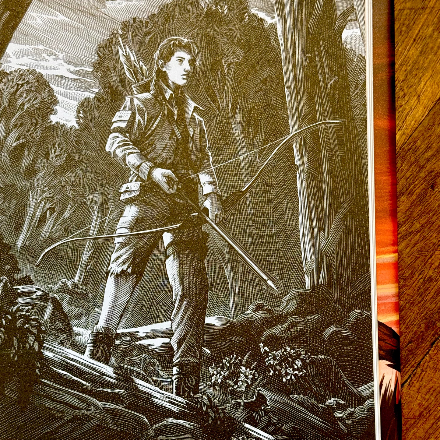 The Hunger Games (Illustrated Edition) – Suzanne Collins and Nico Delort