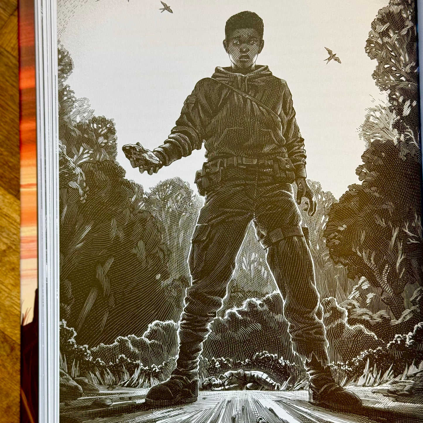 The Hunger Games (Illustrated Edition) – Suzanne Collins and Nico Delort