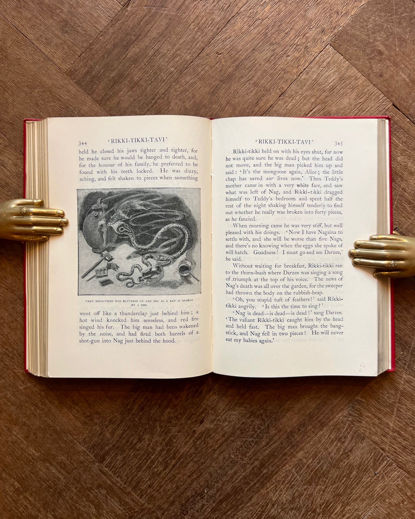 The Two Jungle Books (1926) – Rudyard Kipling, J. Lockwood Kipling and W. H. Drake