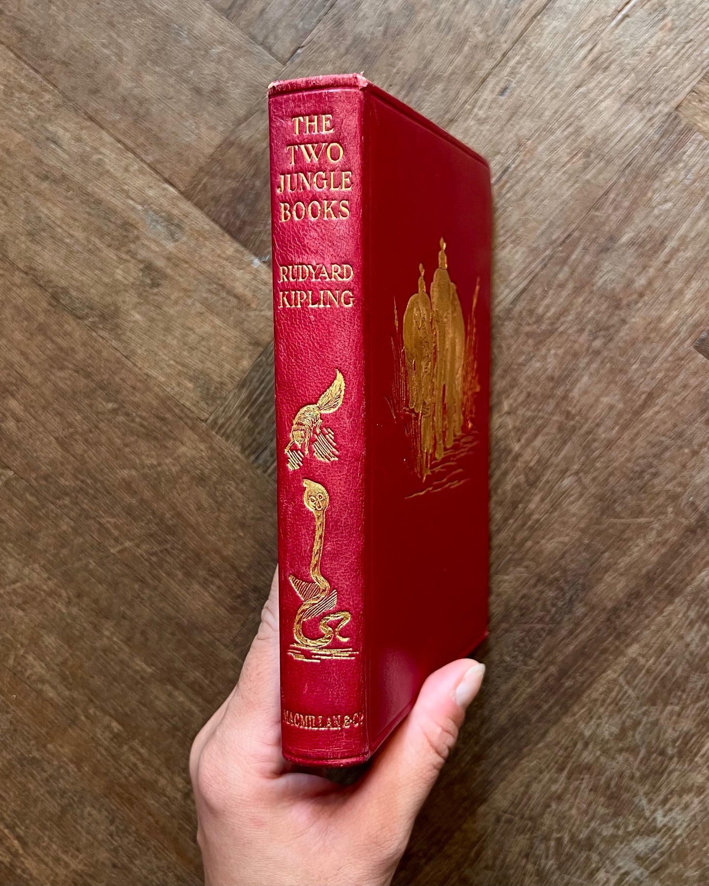 The Two Jungle Books (1926) – Rudyard Kipling, J. Lockwood Kipling and W. H. Drake