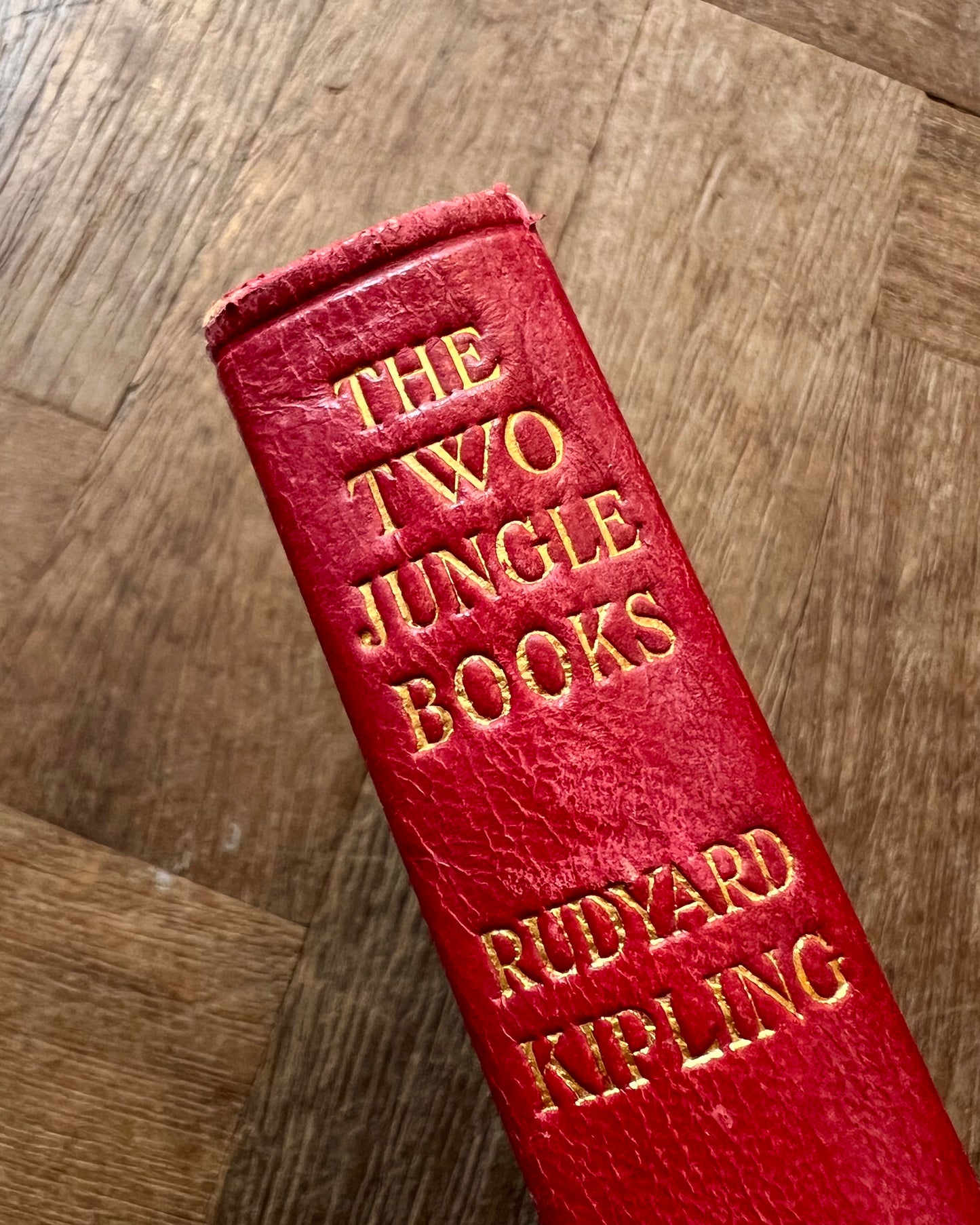 The Two Jungle Books (1926) – Rudyard Kipling, J. Lockwood Kipling and W. H. Drake