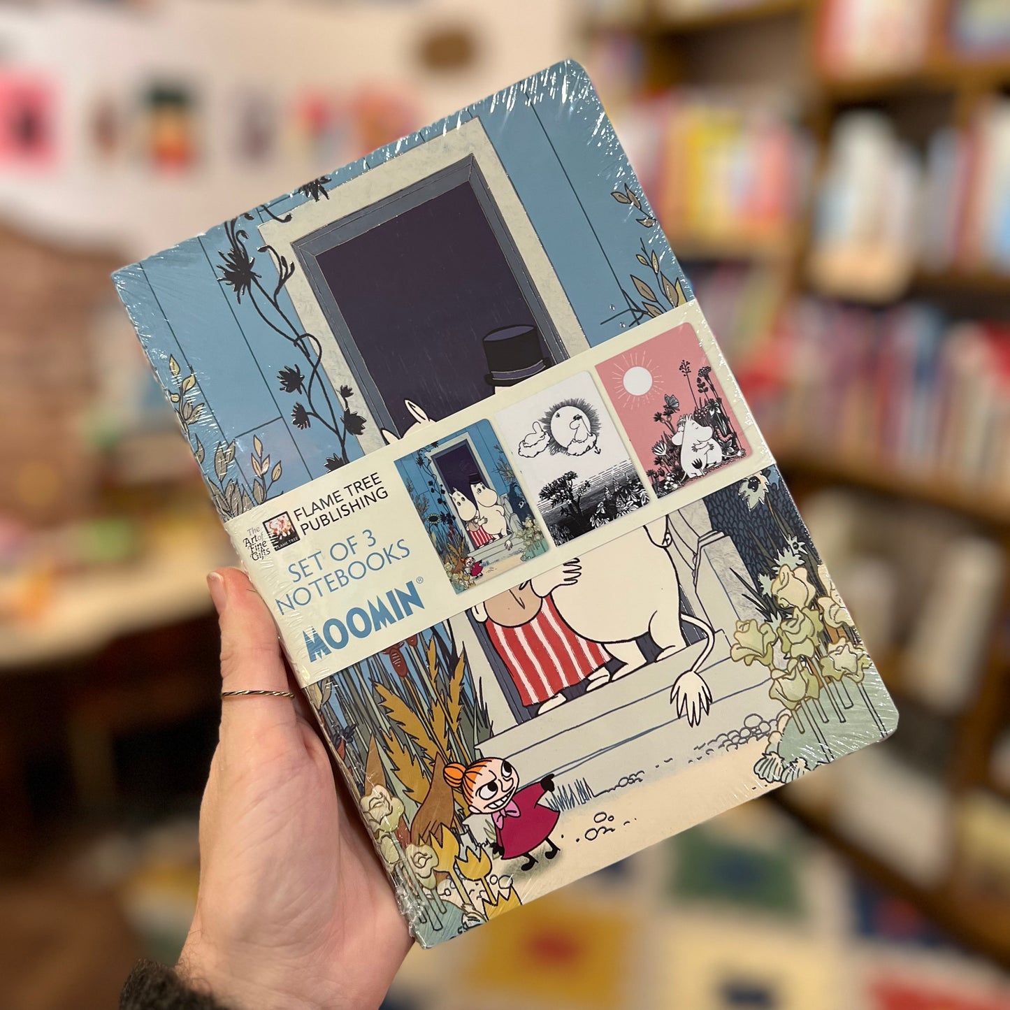 Moomin Notebooks (Set of 3)
