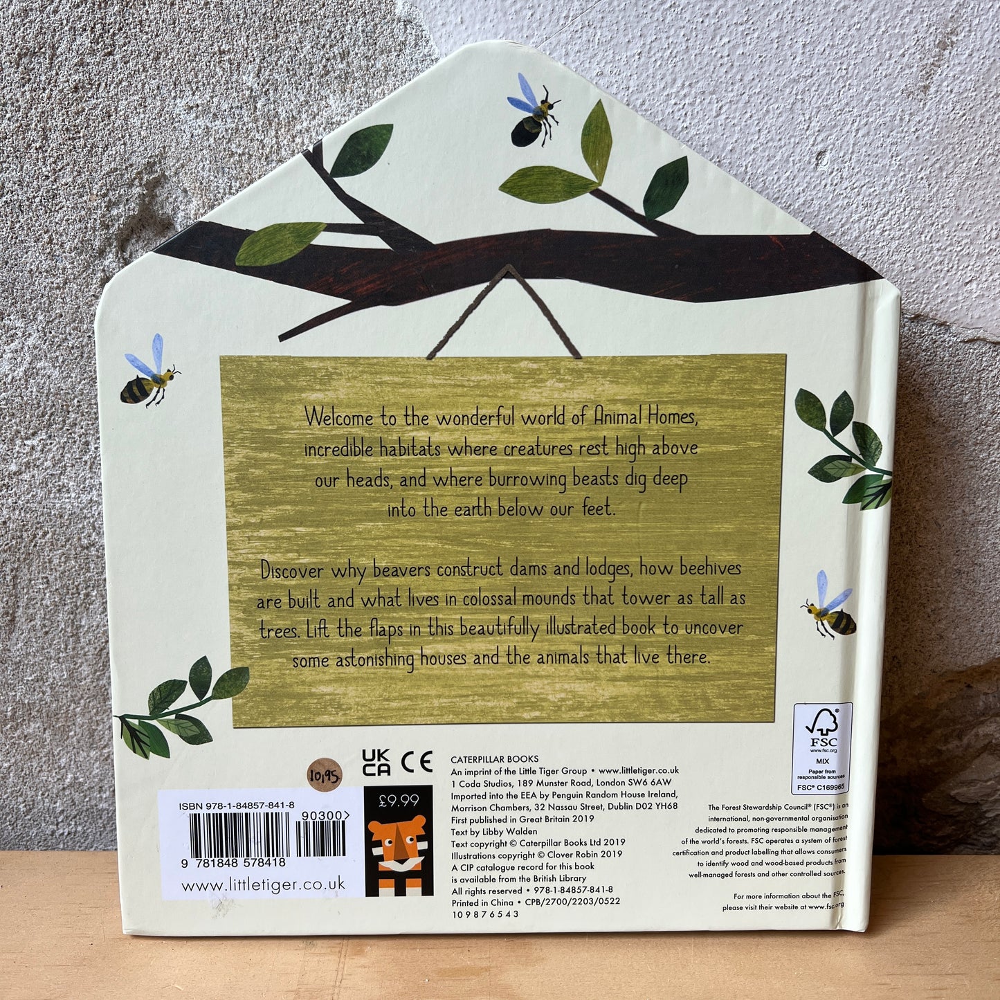 Animal Homes: A Lift-the-Flap Book of Discover – Libby Walden, Clover Robin