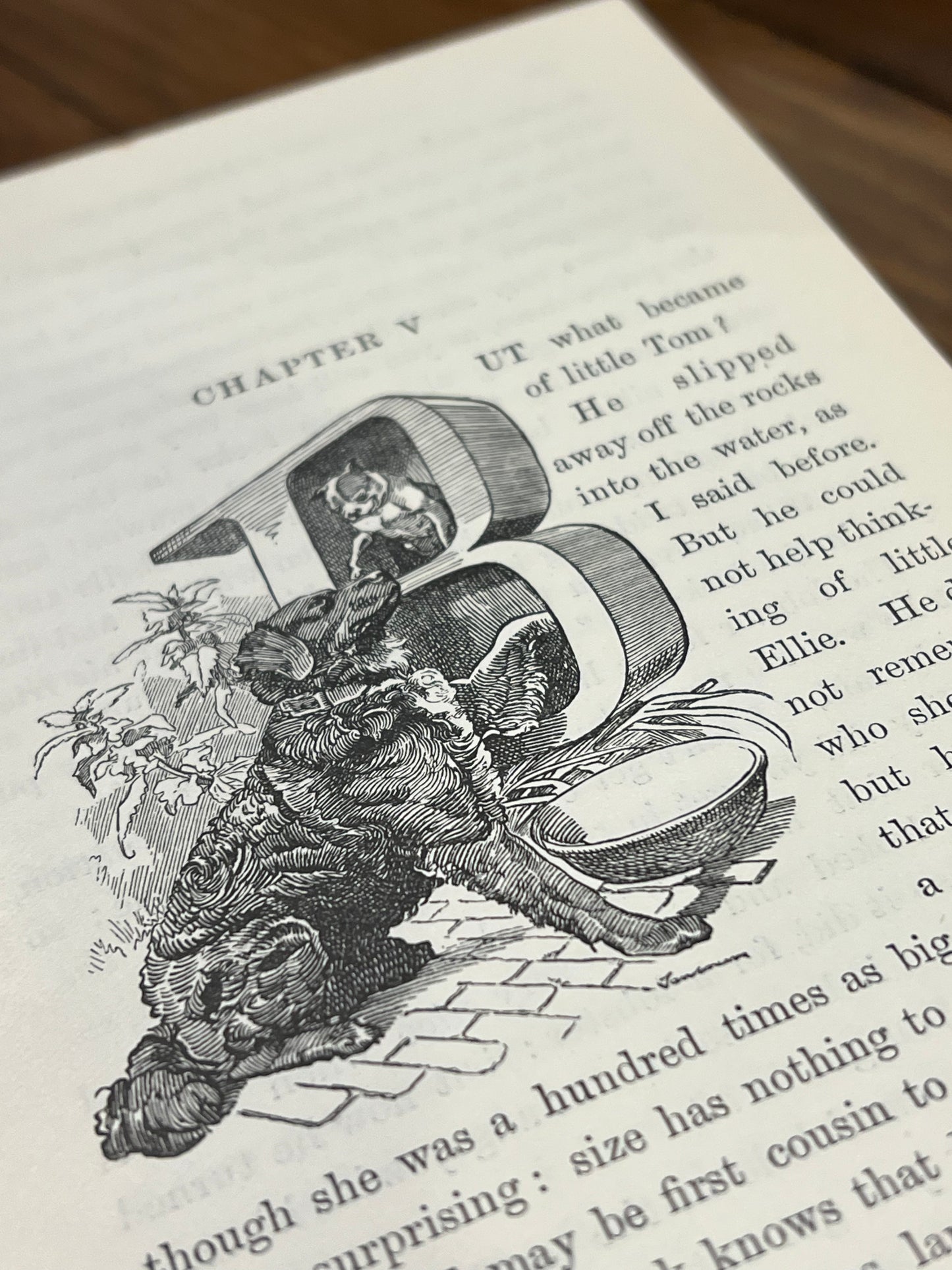 The Water Babies – Charles Kingsley