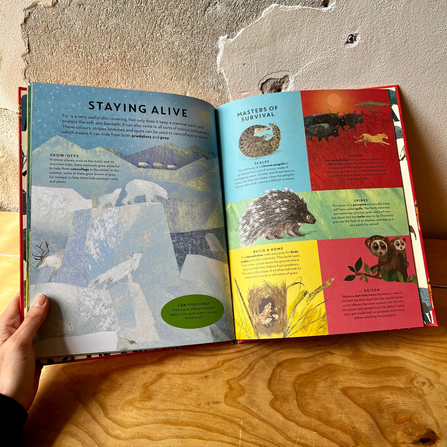 There Are Mammals Everywhere – Camilla De La Bedoyere, Britta Teckentrup
