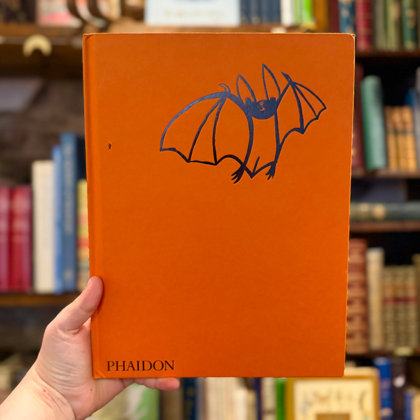 Rufus the Bat Who Loved Colors – Tomi Ungerer