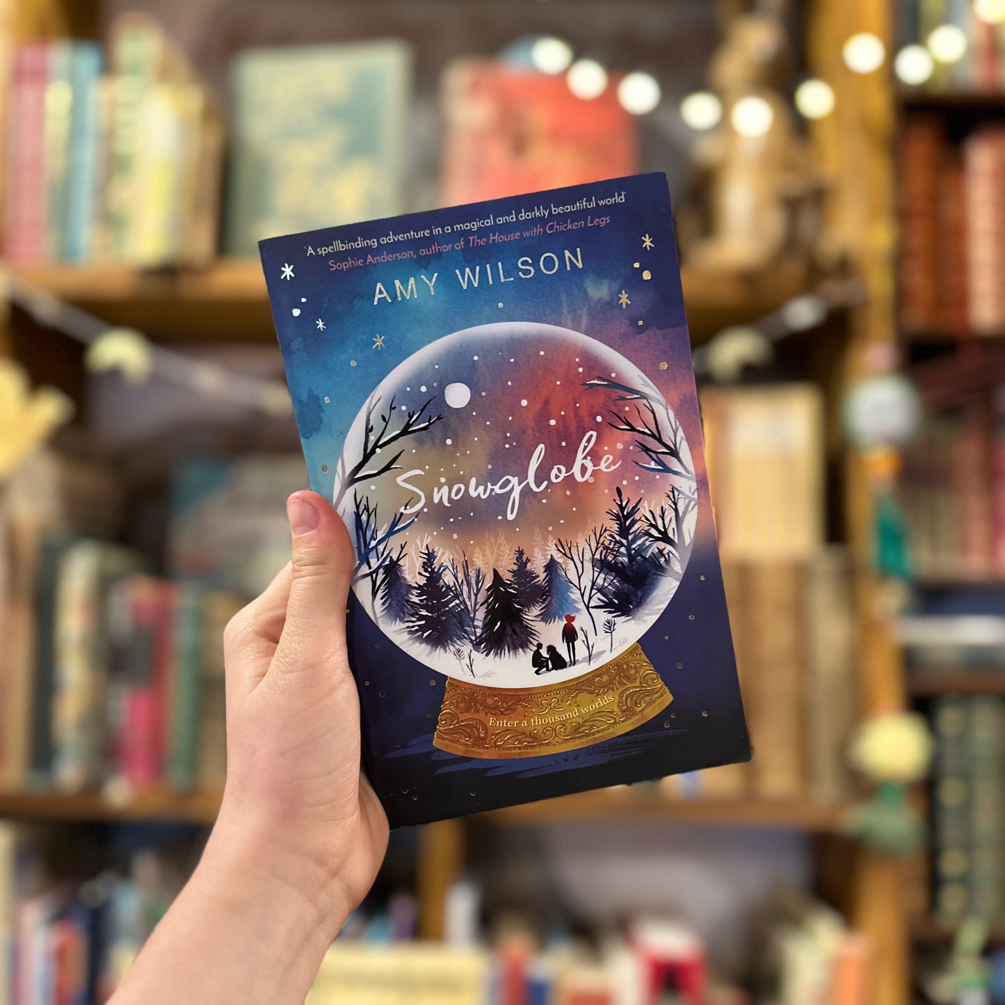 Snowglobe – Amy Wilson
