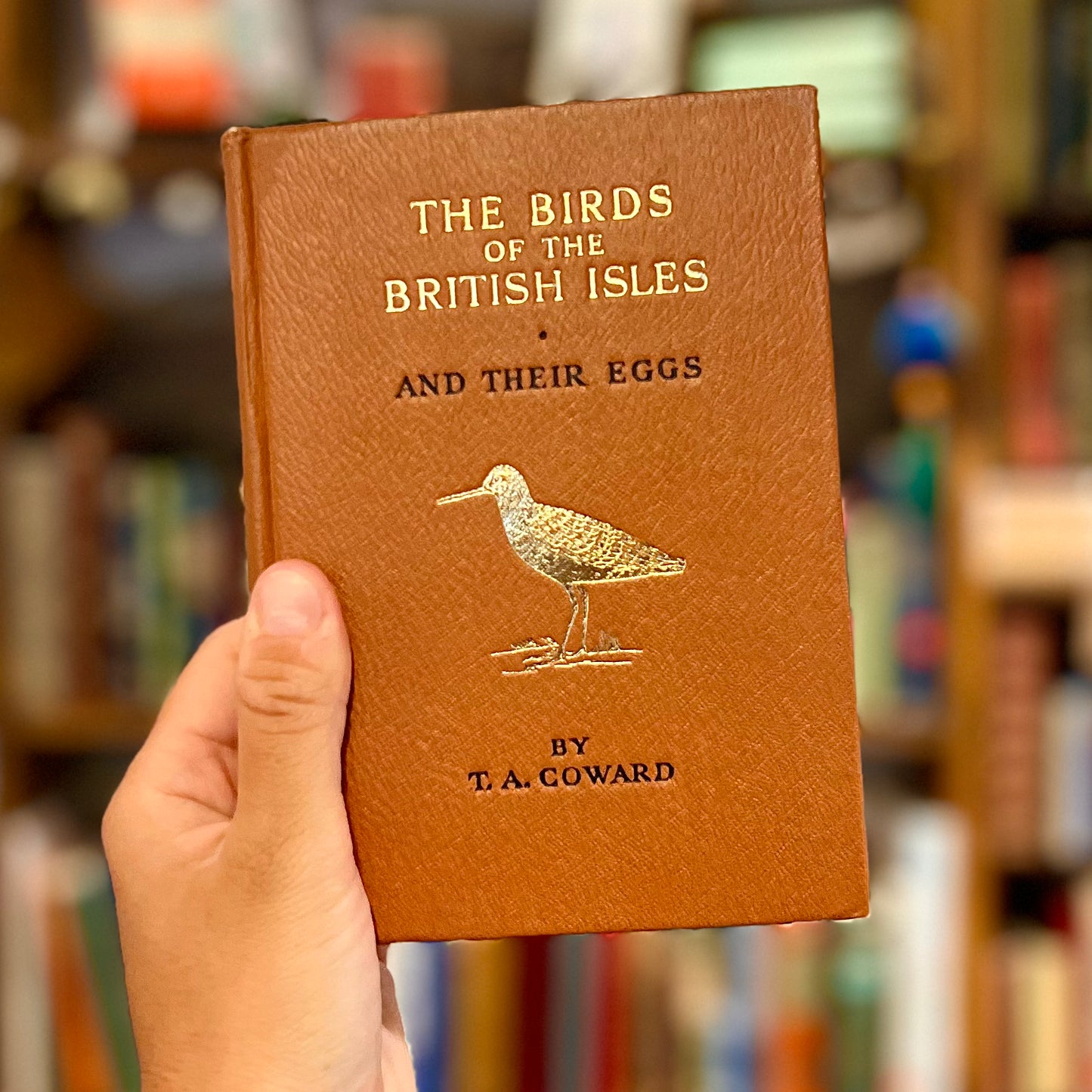 The Birds of the British Isles and Their Eggs – T.A. Coward