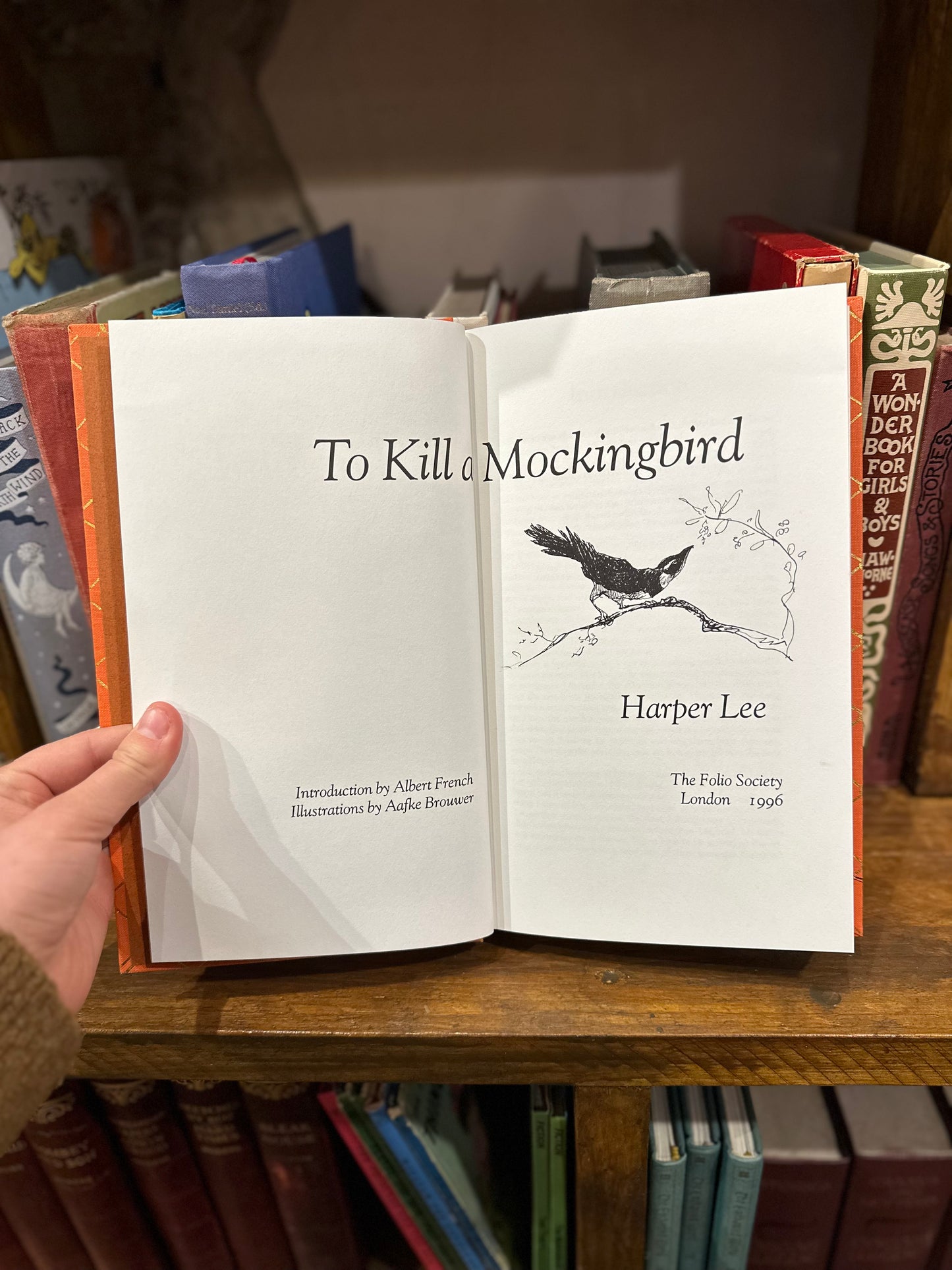 To Kill a Mockingbird – Harper Lee