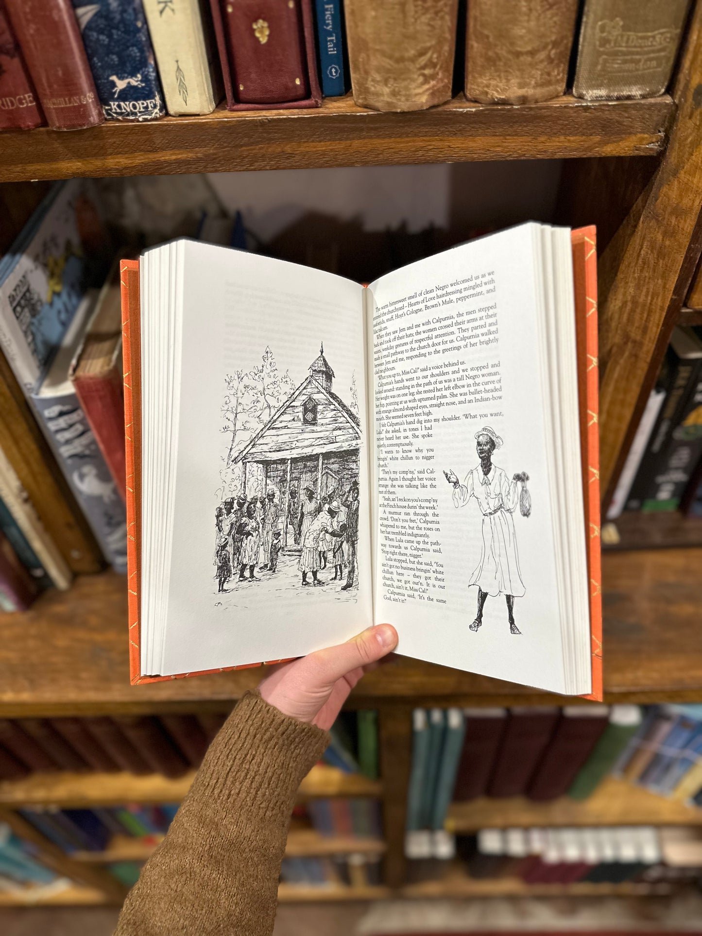 To Kill a Mockingbird – Harper Lee