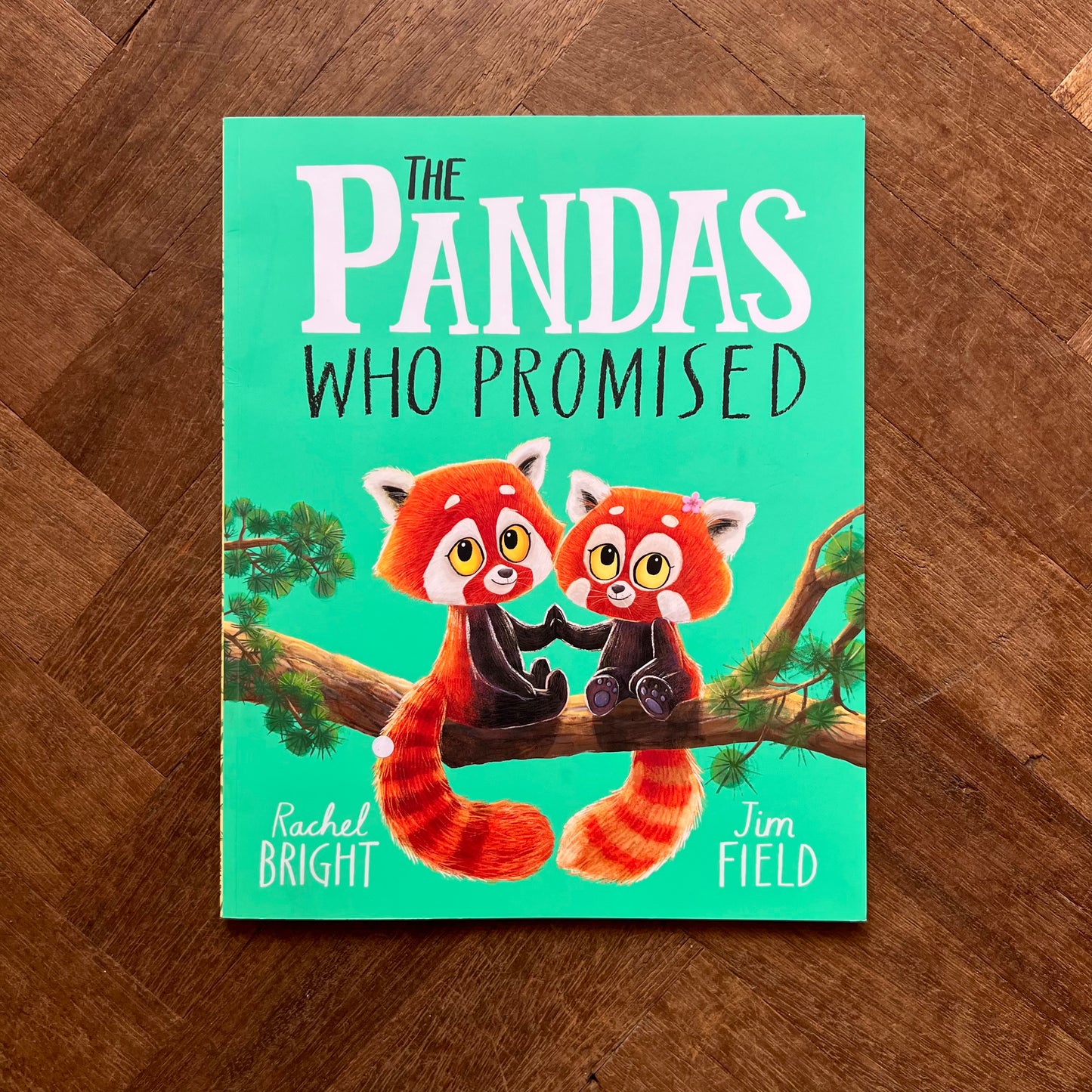 The Pandas who Promised – Rachel Bright, Jim Field