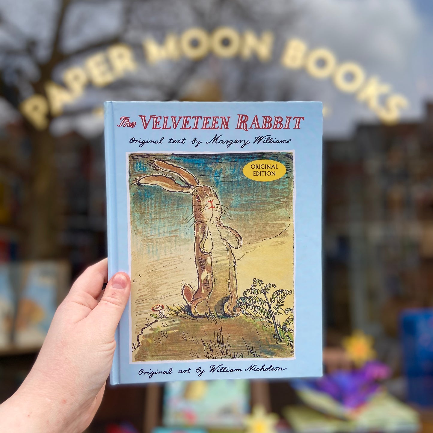 The Velveteen Rabbit – Margery Williams and William Nicholson