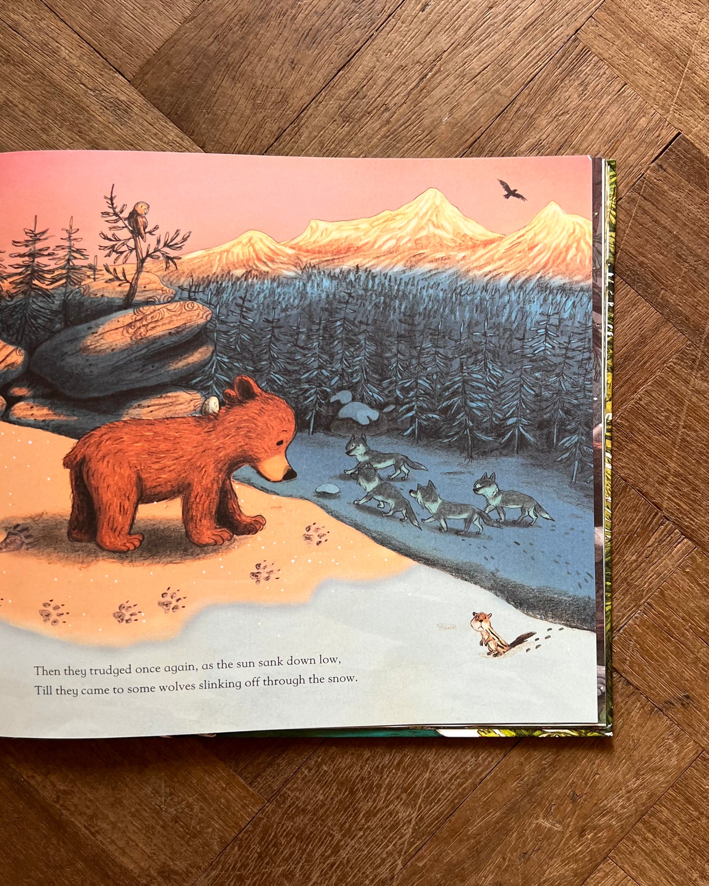 Little Bear's Spring – Elli Woollard and Briony May Smith