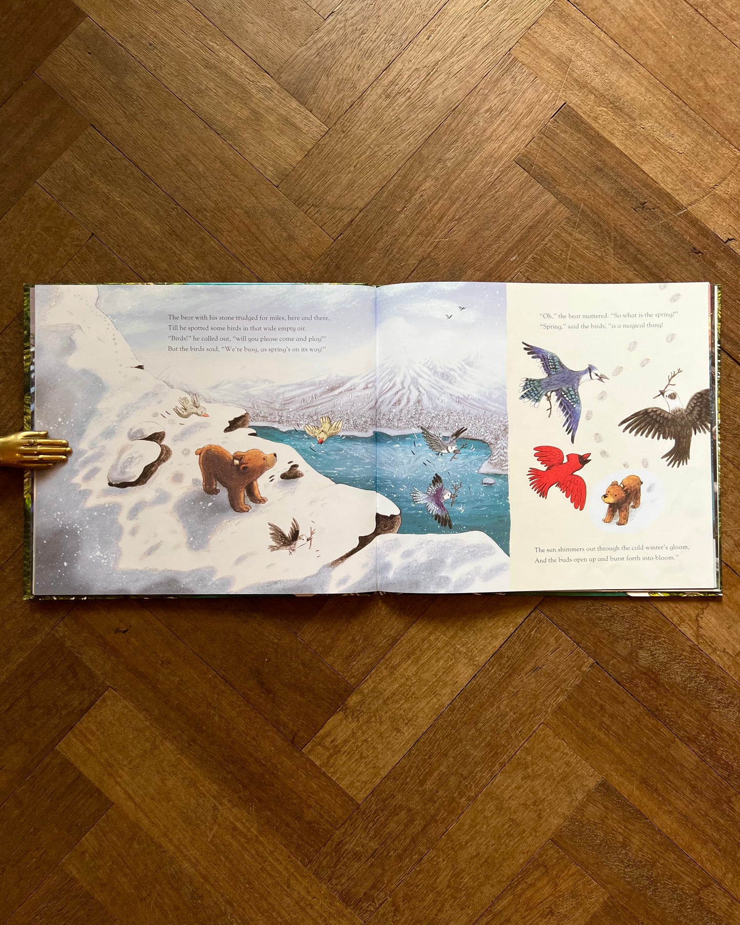 Little Bear's Spring – Elli Woollard and Briony May Smith
