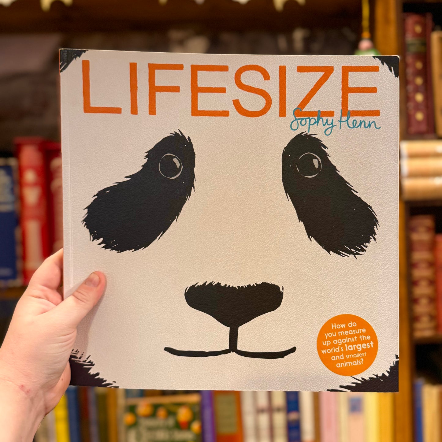 Lifesize (Signed) – Sophy Henn