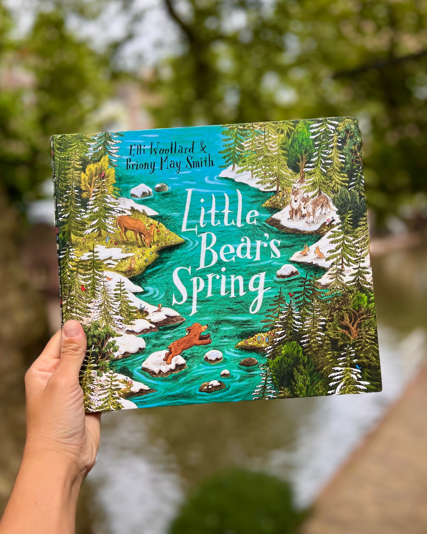Little Bear's Spring – Elli Woollard and Briony May Smith