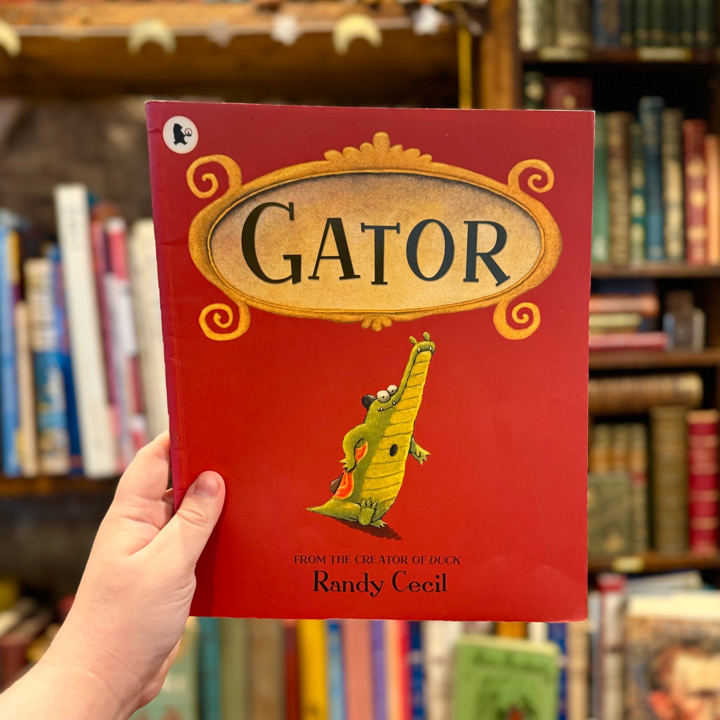 Gator – Randy Cecil