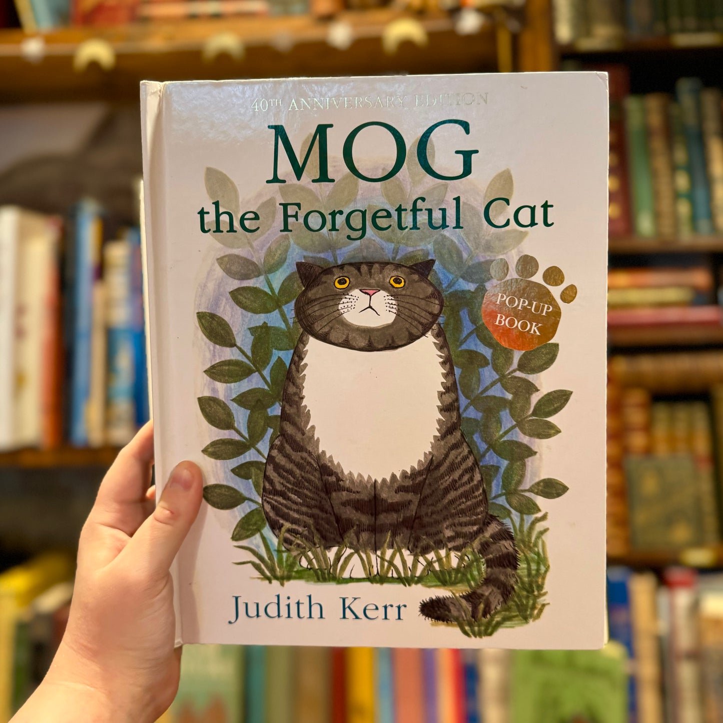 Mog the Forgetful Cat (Pop-Up) – Judith Kerr