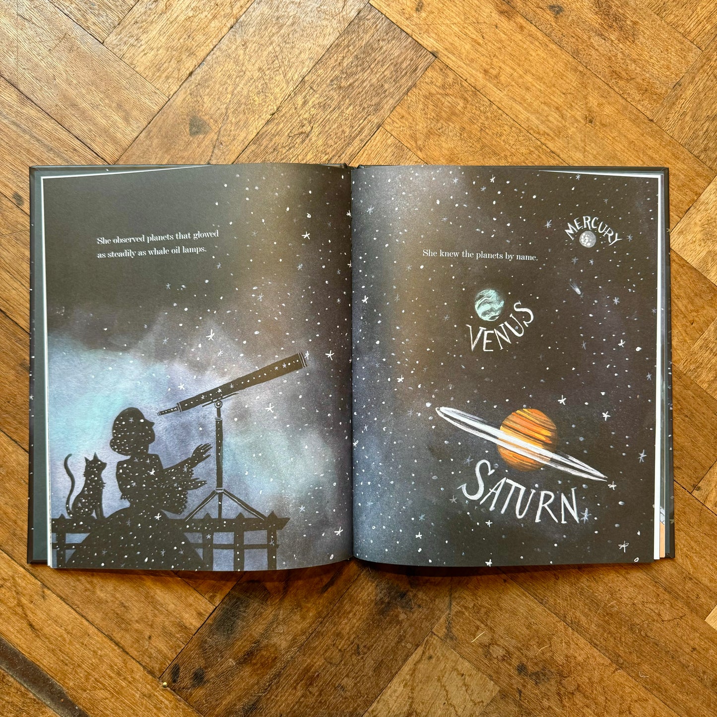 What Miss Mitchell Saw – Hayley Barrett