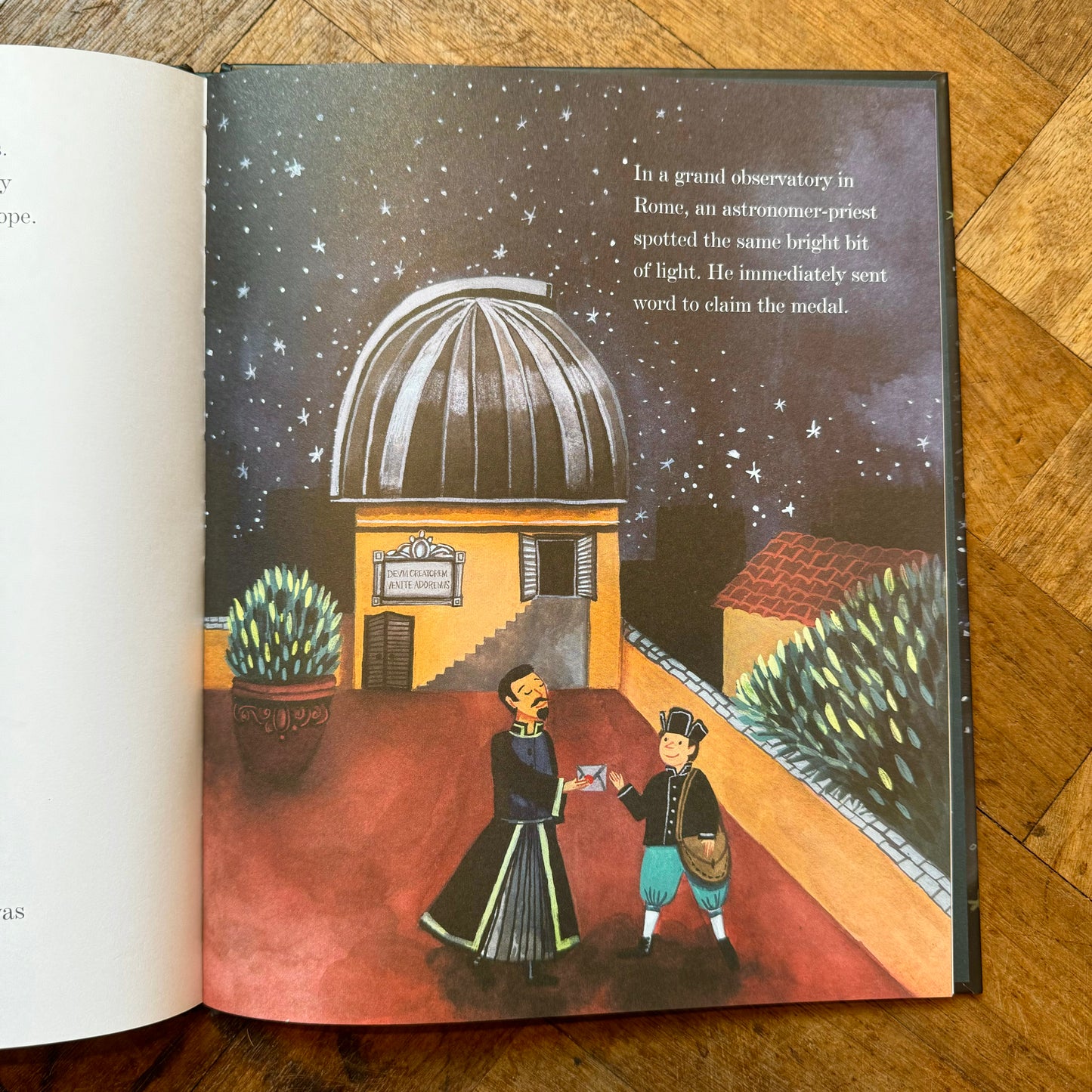 What Miss Mitchell Saw – Hayley Barrett