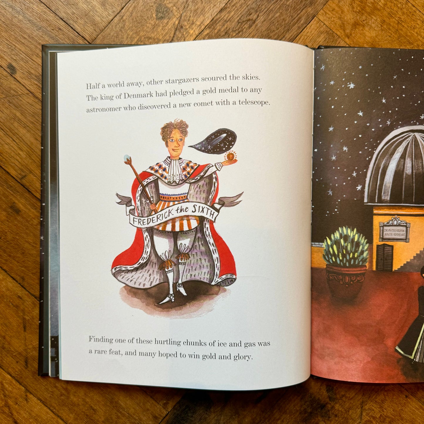 What Miss Mitchell Saw – Hayley Barrett