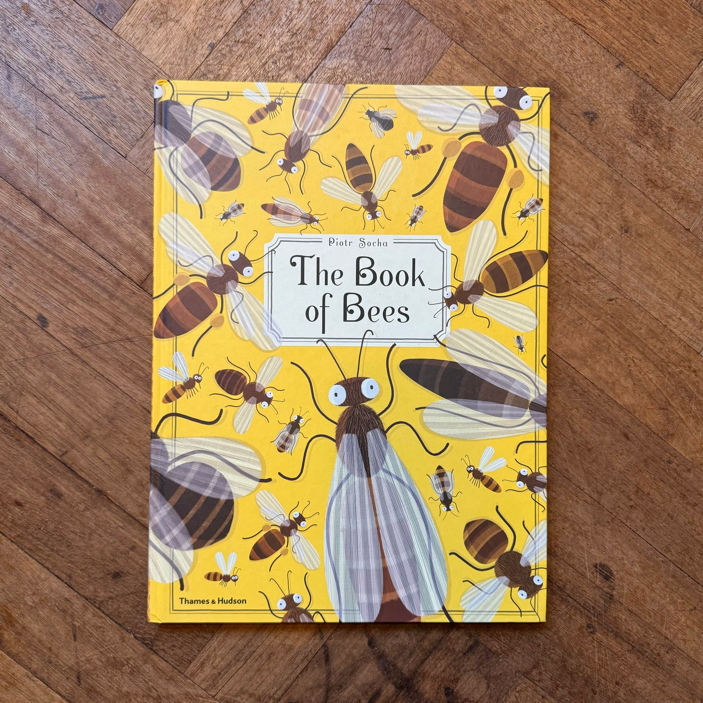 The Book of Bees – Piotr Socha