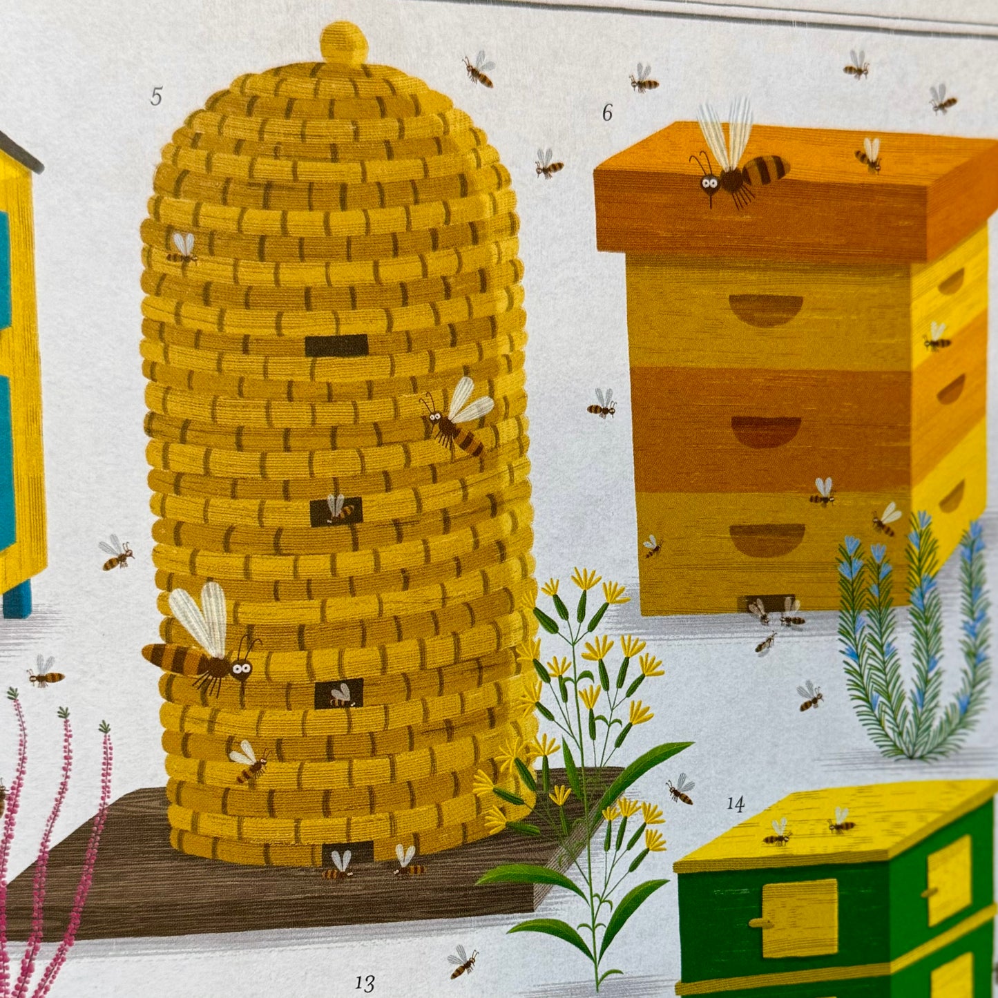 The Book of Bees – Piotr Socha