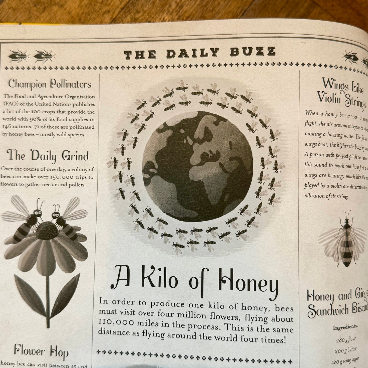 The Book of Bees – Piotr Socha