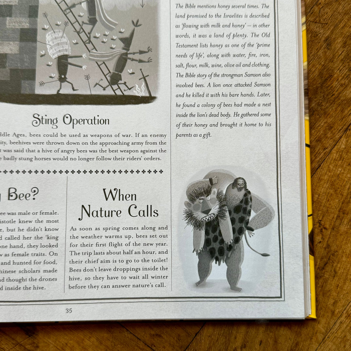The Book of Bees – Piotr Socha