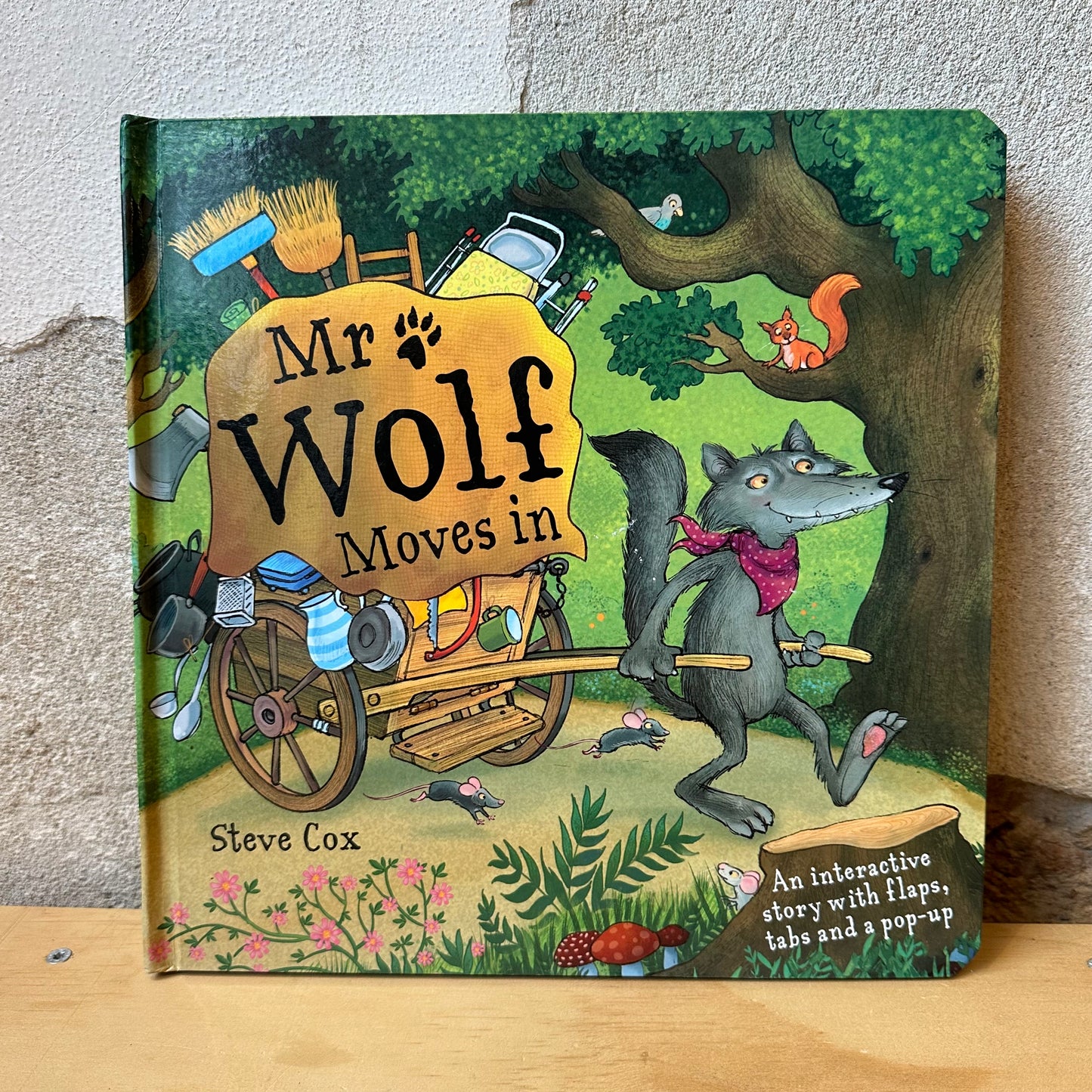 Mr. Wolf Moves In – Steve Cox