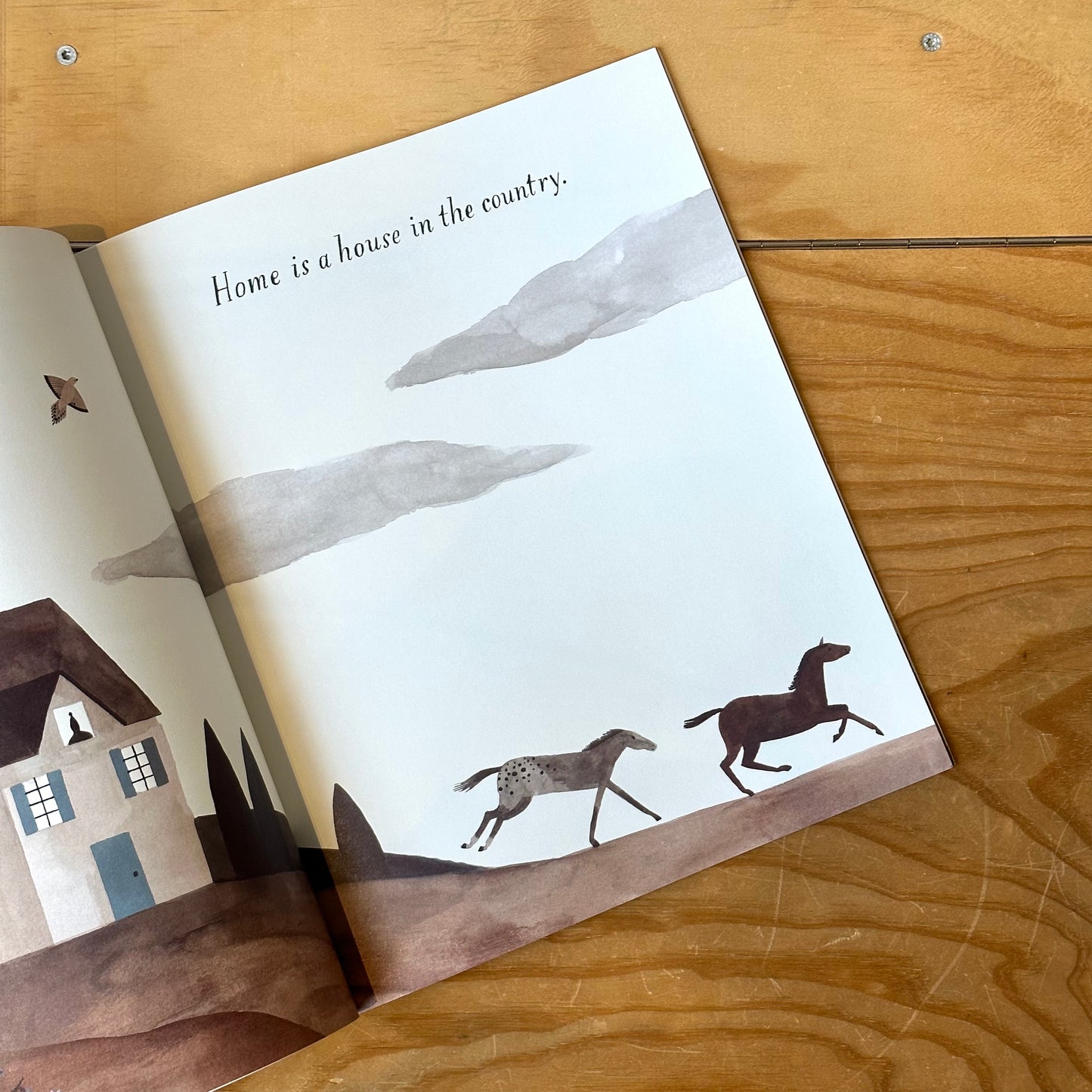 Home – Carson Ellis