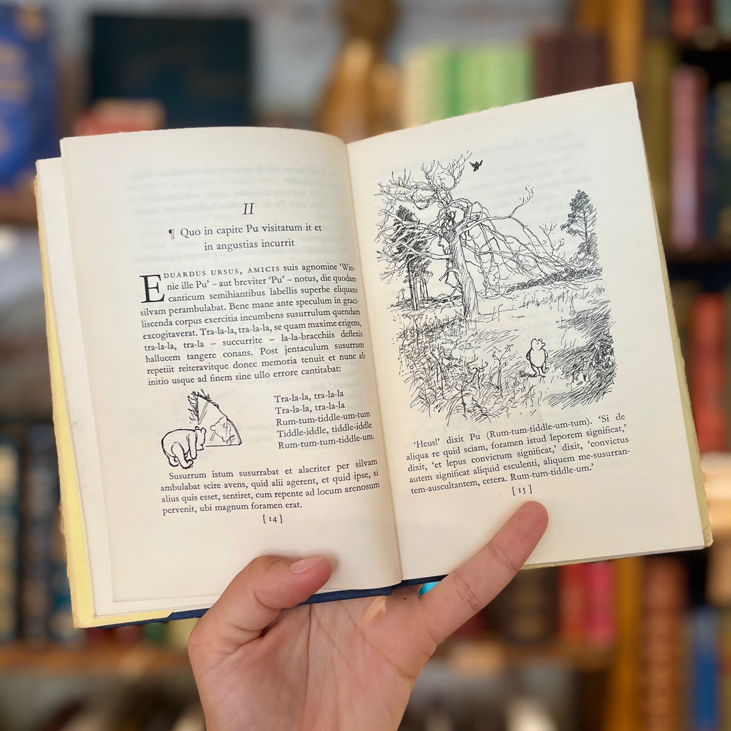 Winnie Ille Pu (Latin) – A.A. Milne, Alexander Lenard (translator)