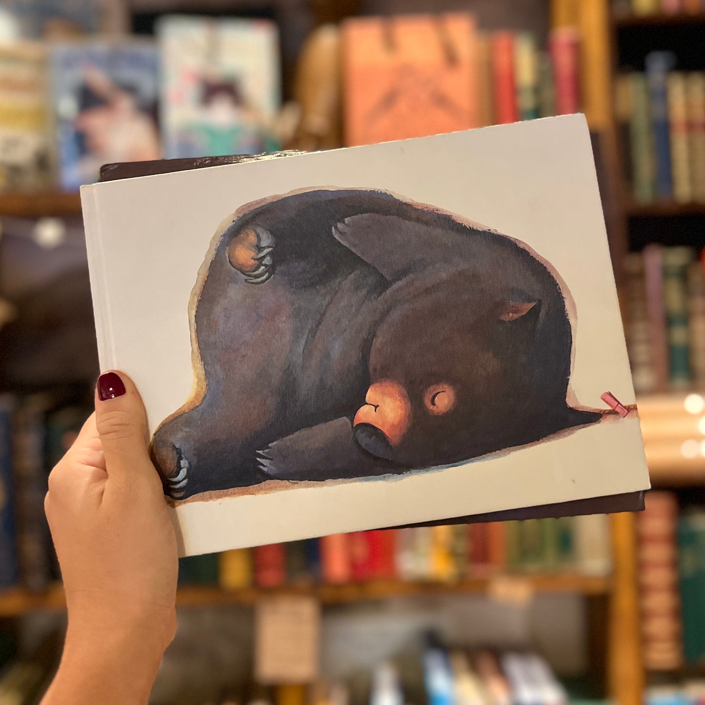 Diary of a Wombat (10th Anniversary Edition) – Jackie French & Bruce Whatley