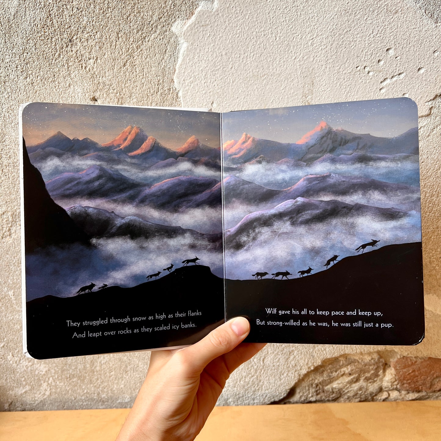 The Way Home for Wolf – Rachel Bright, Jim Field